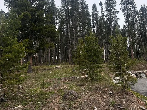 TBD American Way, Breckenridge, CO 80424