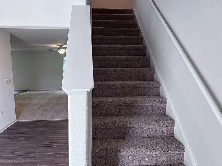 9245 Creedmore Hills Dr — Photo 10