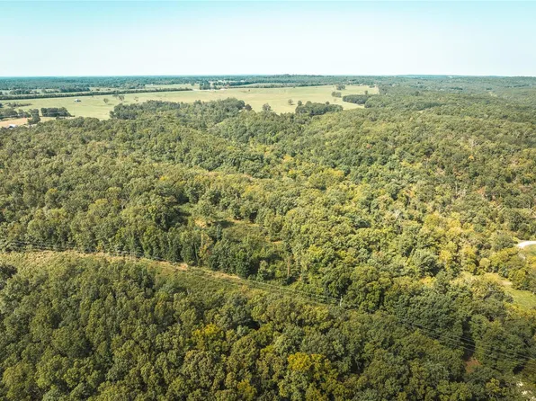 12980 Canyon Rd, Dixon, MO 65459