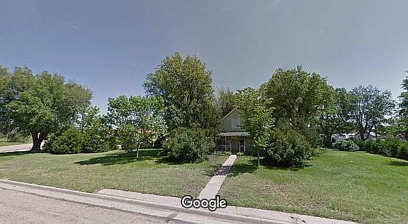 Cedars, Elms, Maples, Lilacs