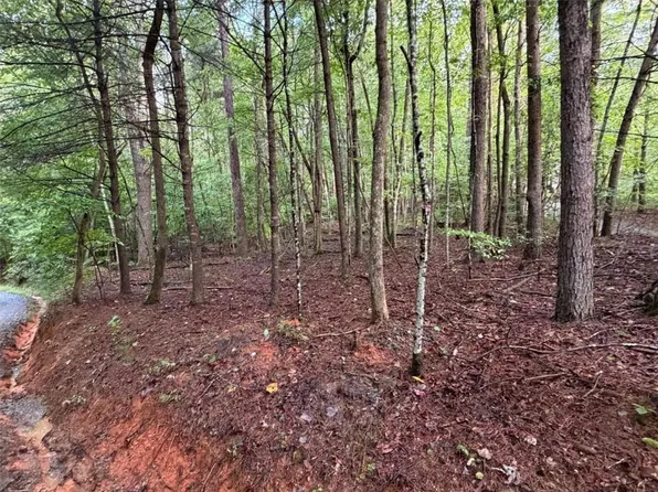 0 Peach Ln #99, Ellijay, GA 30536