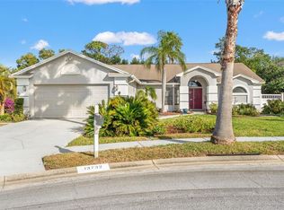 13732 Triumph Ct, Hudson, FL 34667