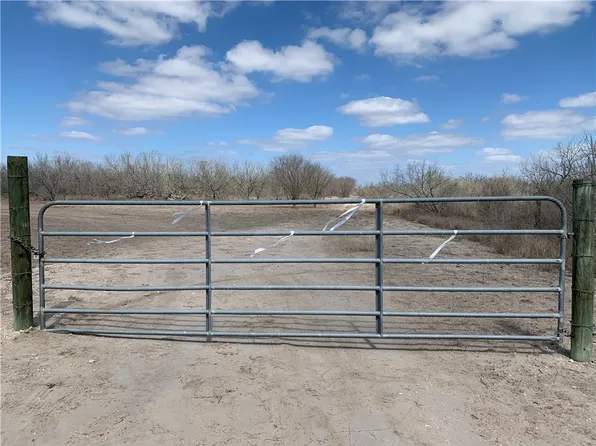 0 County Road 207, Concepcion, TX 78349