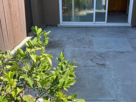 large patio
very fruitful lemon tree