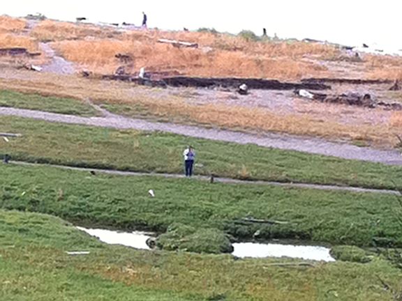 Protective wetlands between house and beach