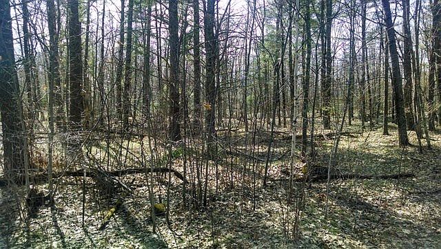 1st image of 0 Audubon Road