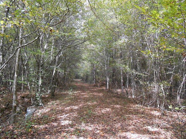 1st image of Joe Lee Rd