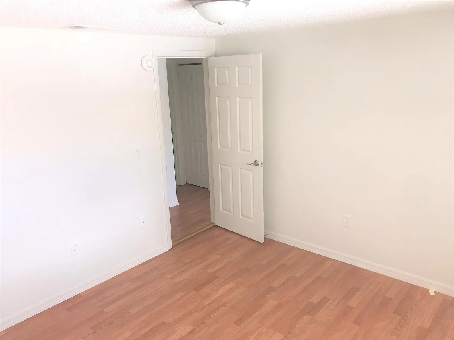 2 bed, 780 sqft, $1,300 — Photo 2