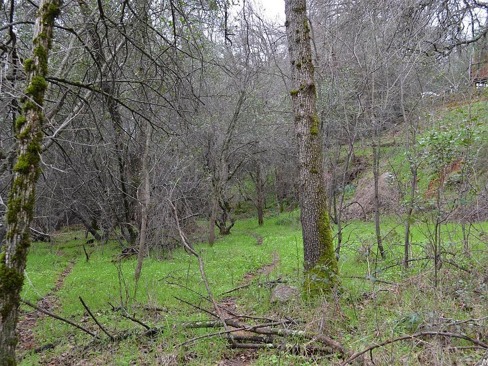 2nd image of Canal St