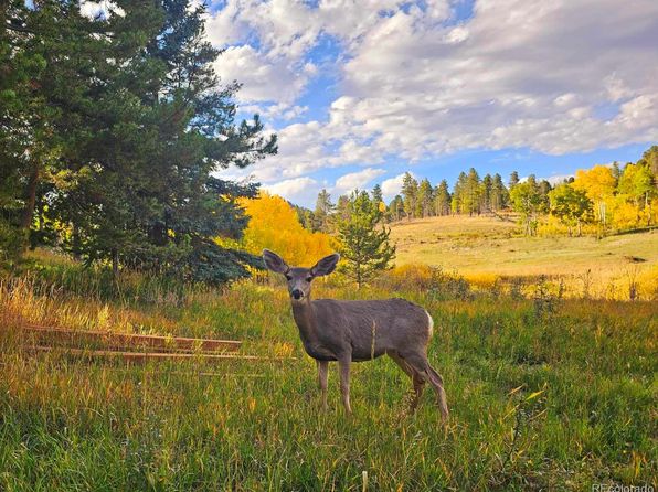 10858 Norton Avenue, Conifer, CO 80433