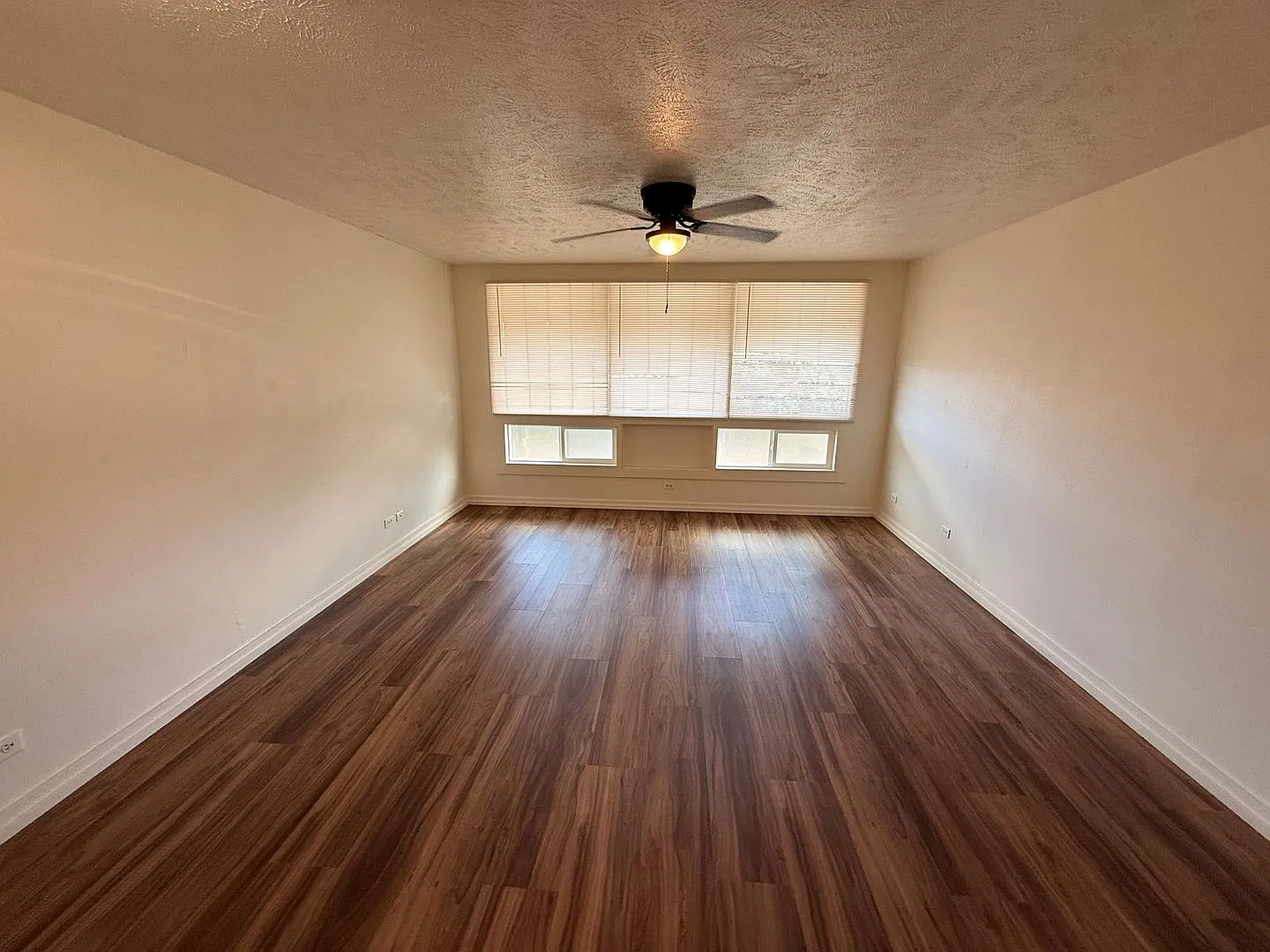1816 Mill Street — Photo 2