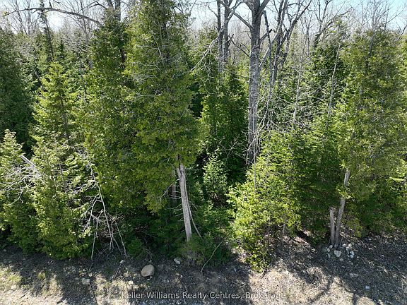 5th image of LOT 10 Trillium Cross