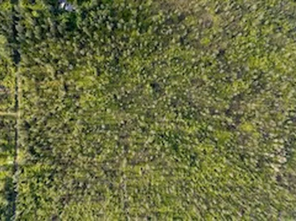 Road 2 Lot 2843, Kurtistown, HI 96760