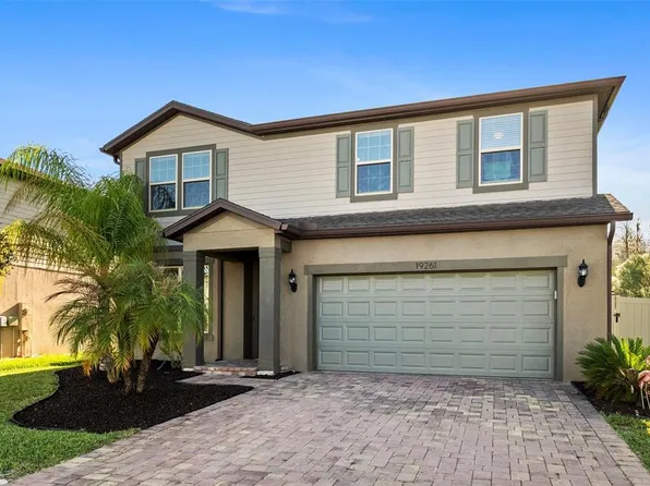 19261 Mossy Pine Dr, Tampa, FL 33647