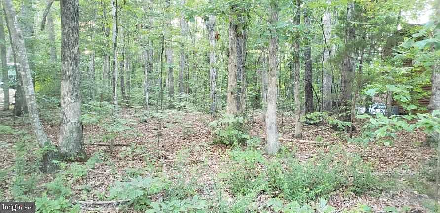 409 cornwallis  street frontage