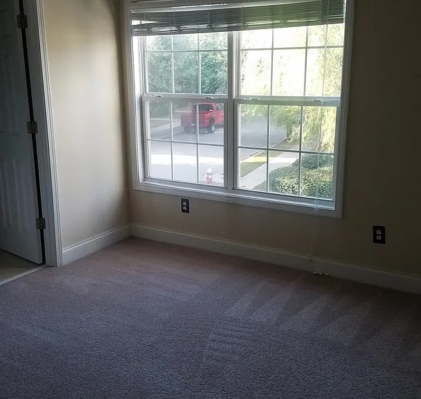 201 Hampton Forest Dr — Photo 24