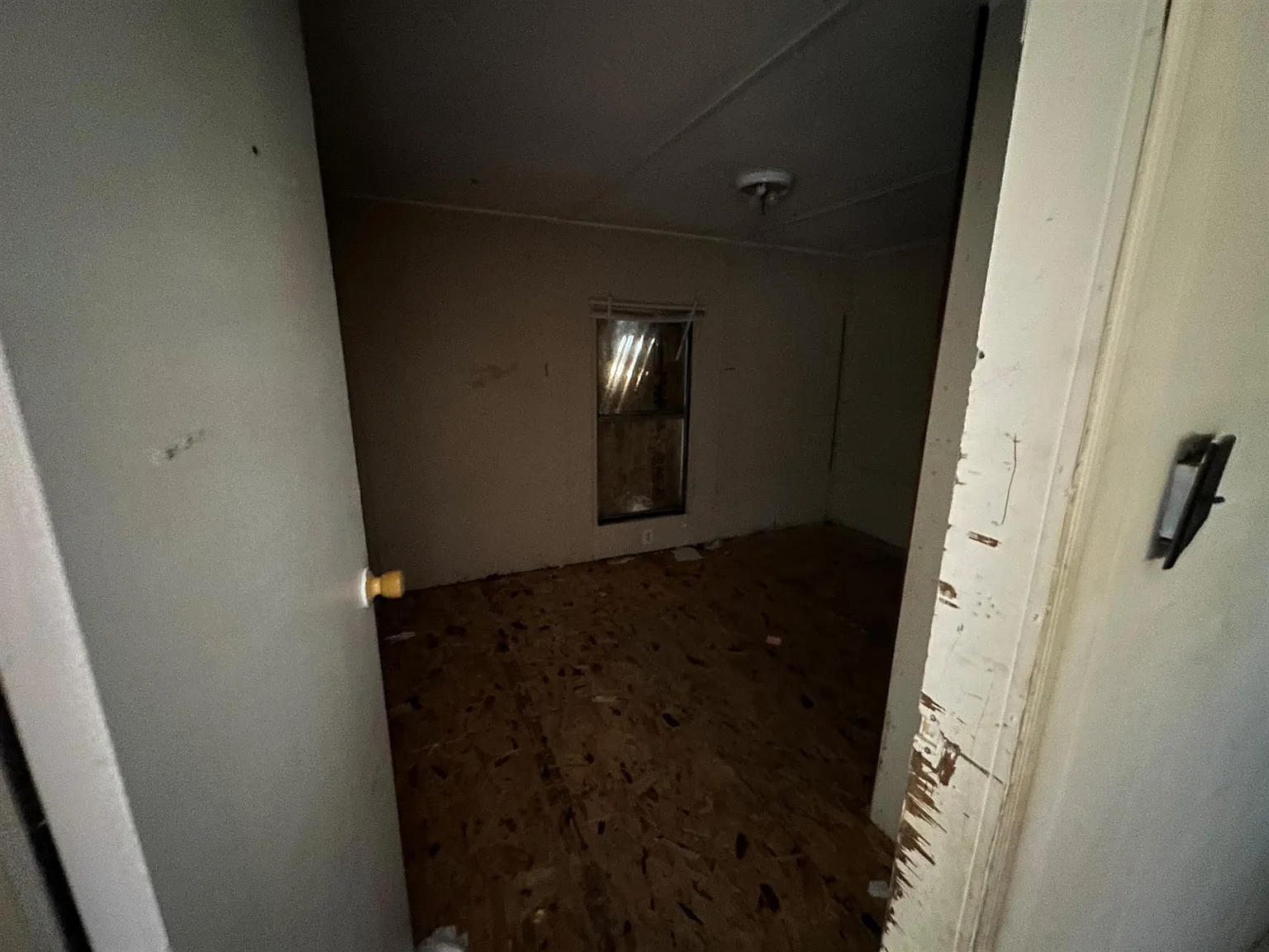 55LL — Photo 1