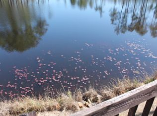 29924 Blue Heron Ct, Wagram, NC 28396