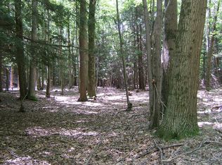 Indian Bay Rd, Montague, MI 49437