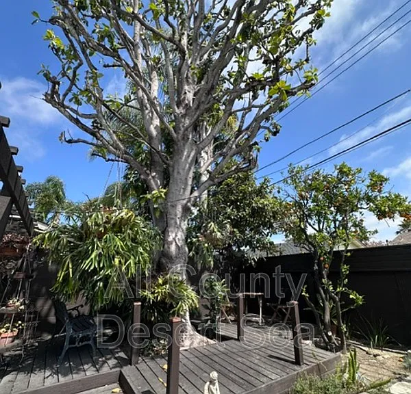 6922 Paula Cir — Photo 18