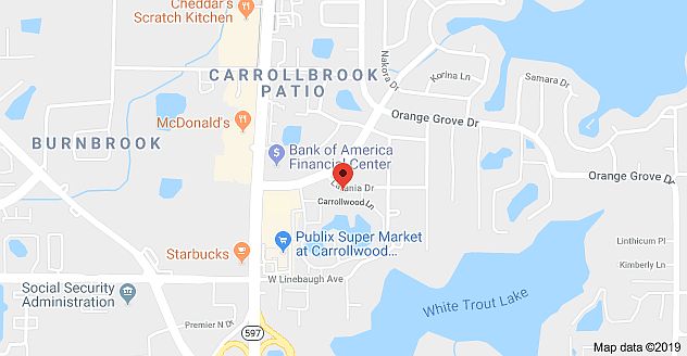 1st image of 10389 Carrollwood Ln APT 298