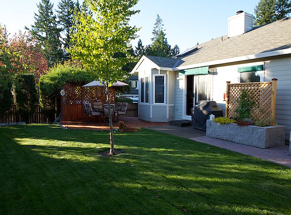 Back Yard - Looking In