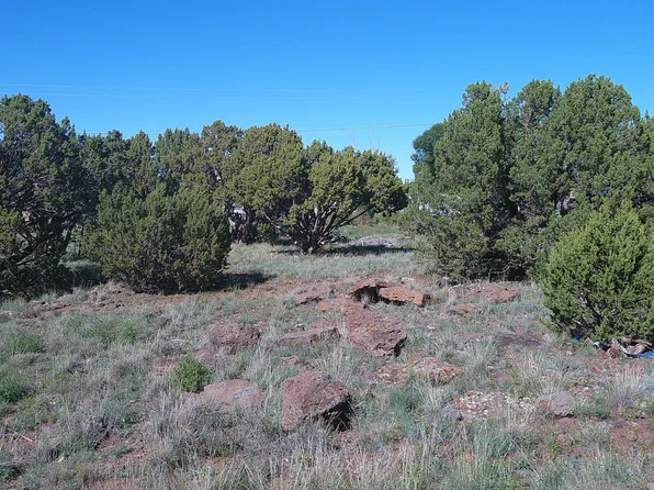 8586 Quail Run Dr, Show Low, AZ 85901