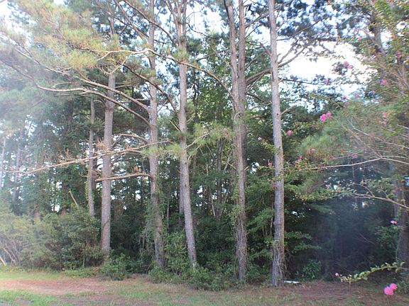 4th image of 4673 Clearview Dr SE