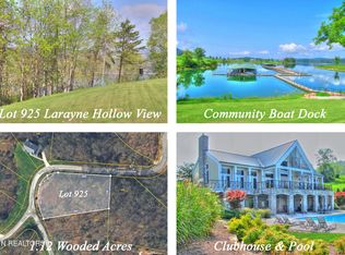 LOT 925 Larayne Hollow Rd, Sharps Chapel, TN 37866