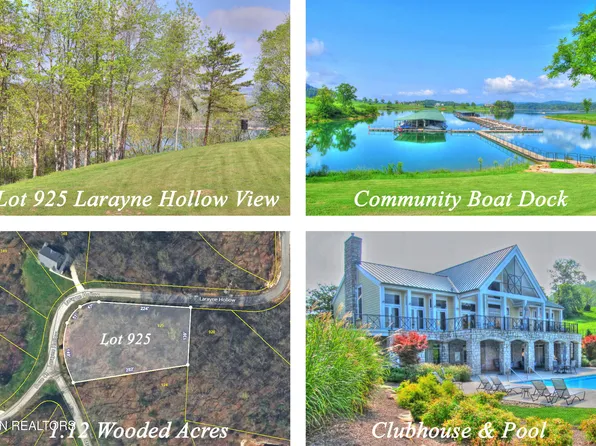 LOT 925 Larayne Hollow Rd, Sharps Chapel, TN 37866