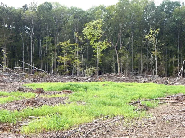 49 811th Rd, Tillatoba, MS 38961