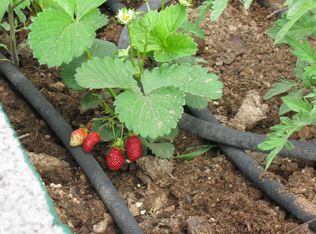 420 W Arrowhead Dr, Paulden, AZ 86334