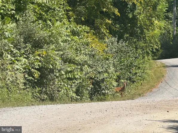 75 E Mountain Rd, Mc Veytown, PA 17051