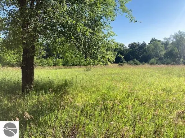 Forest Ct, Bellaire, MI 49615