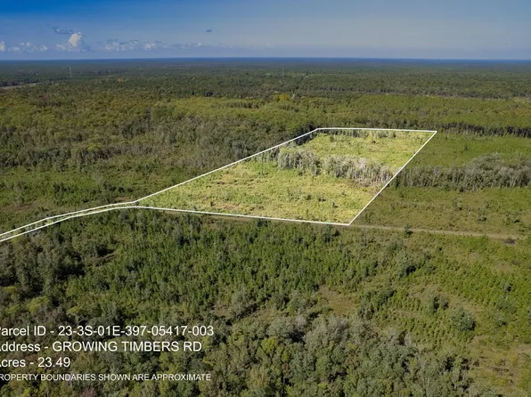 3 Growing Timbers Rd, Crawfordville, FL 32327