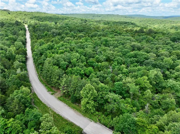 Antioch Rd #Xx, Canehill, AR 72717