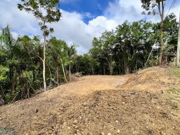 0 Isabela Bo Galateo, Isabela, PR 00662