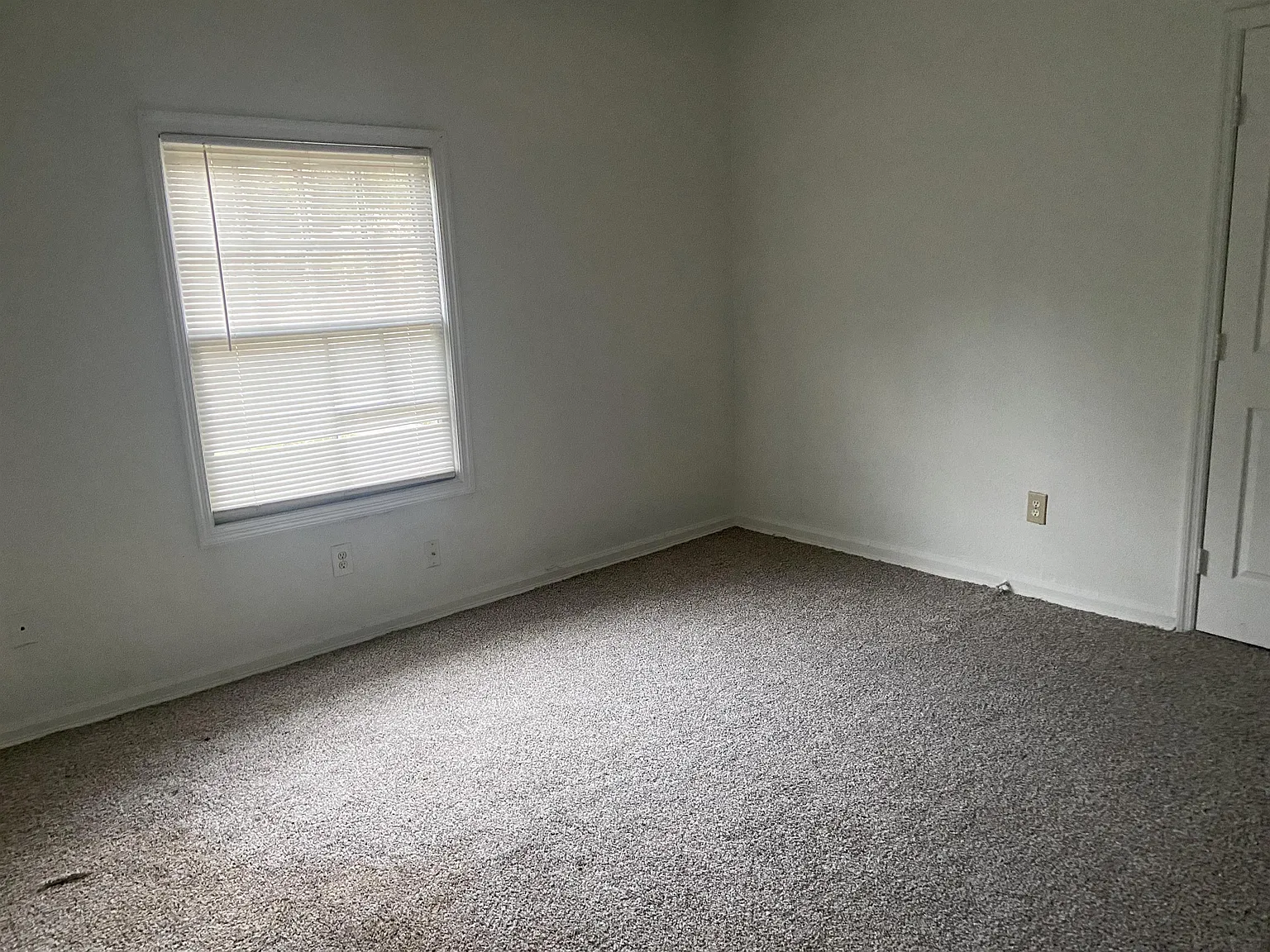 558 Cleveland Street - 1 — Photo 3