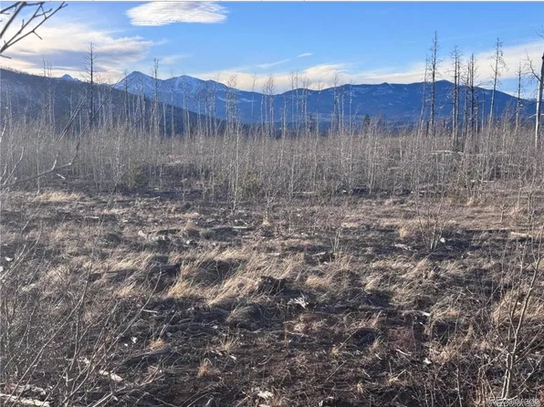 1290 Clayton Road, Fort Garland, CO 81133