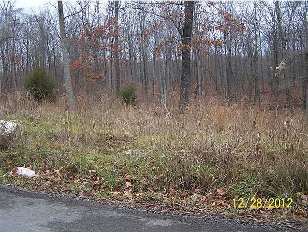 1st image of 0 Woodland St