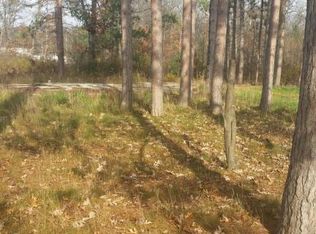 1821 W Warren St, Bitely, MI 49309