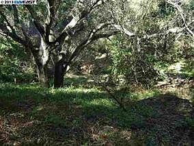 5th image of 0 Hidden Oaks Dr