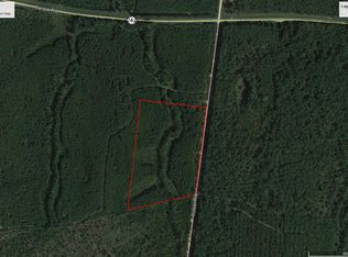 Wilson Road 16 Acres, Bartow, GA 30413