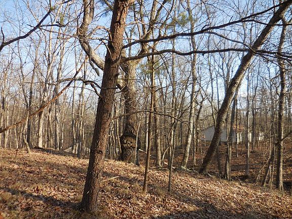 5th image of 133 Greenbrier Loop