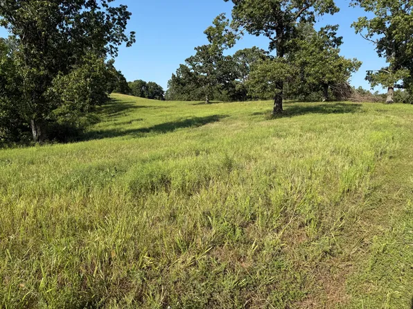 1006 Skaggs Hollow Road, Pineville, MO 64856