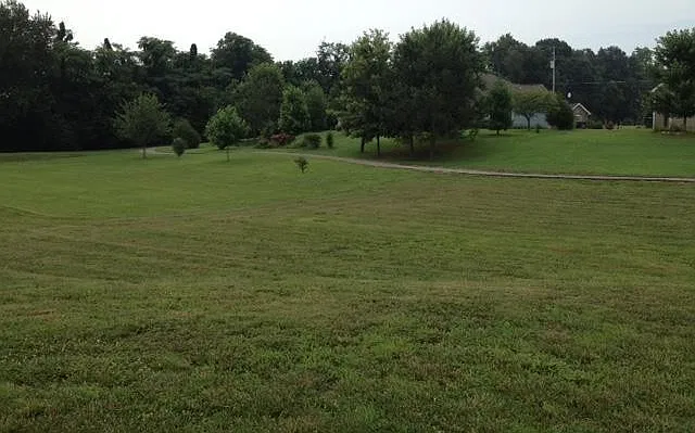 3 bed, 1411 sqft, $1,790 — Photo 2