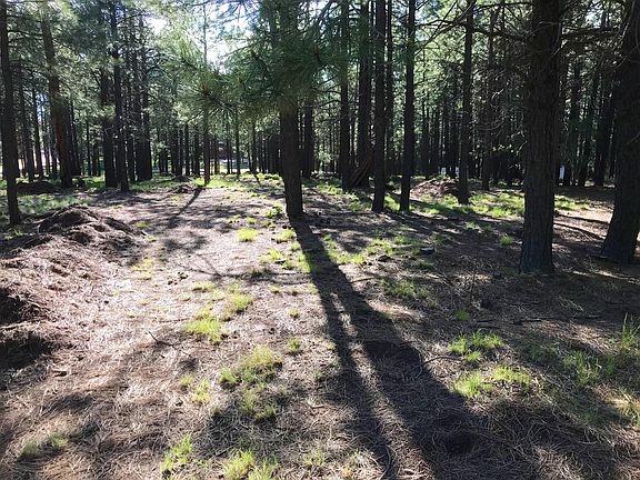 2nd image of 2075 Mineral Dr