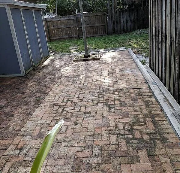 Back patio and yard