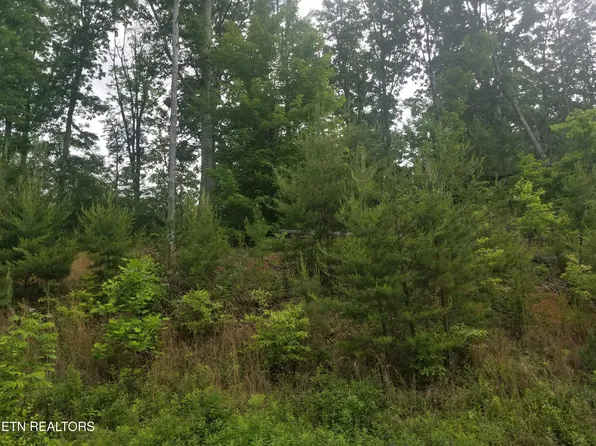 33 Bayside Blvd Lot 33, Bean Station, TN 37708