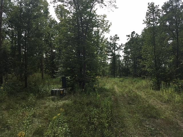 2nd image of 8247 170th Ave